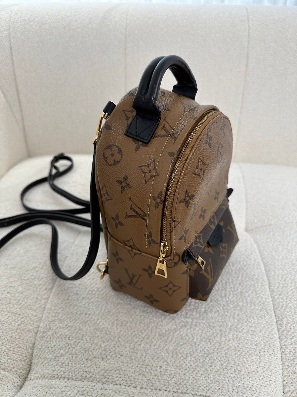 Thumbnail: Louis Vuitton Palm Springs Mini (2020)
