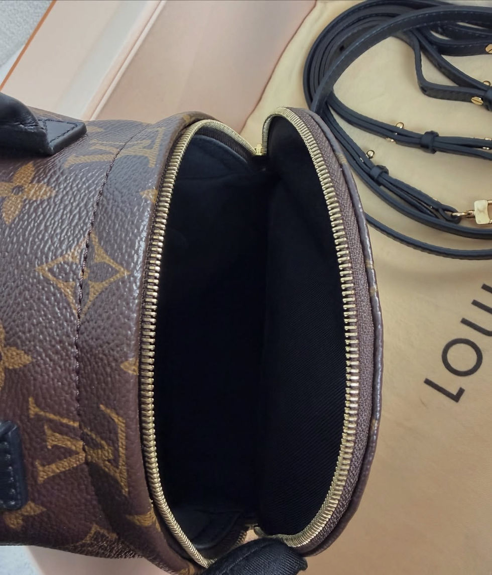 Thumbnail: Louis Vuitton Full Set Palm Springs Mini (2020)
