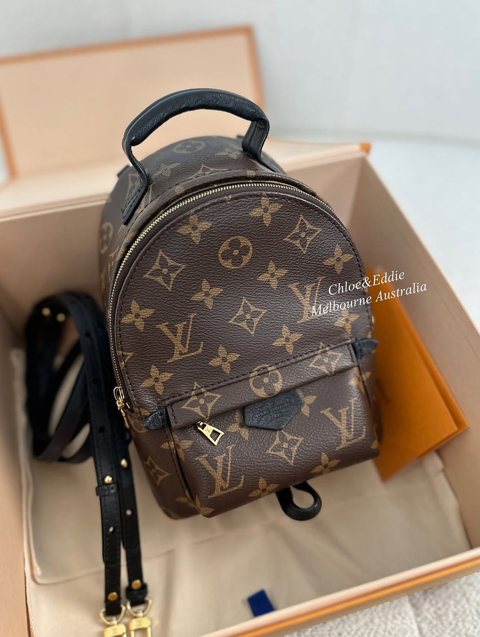 Thumbnail: Louis Vuitton Full Set Palm Springs Mini (2022)