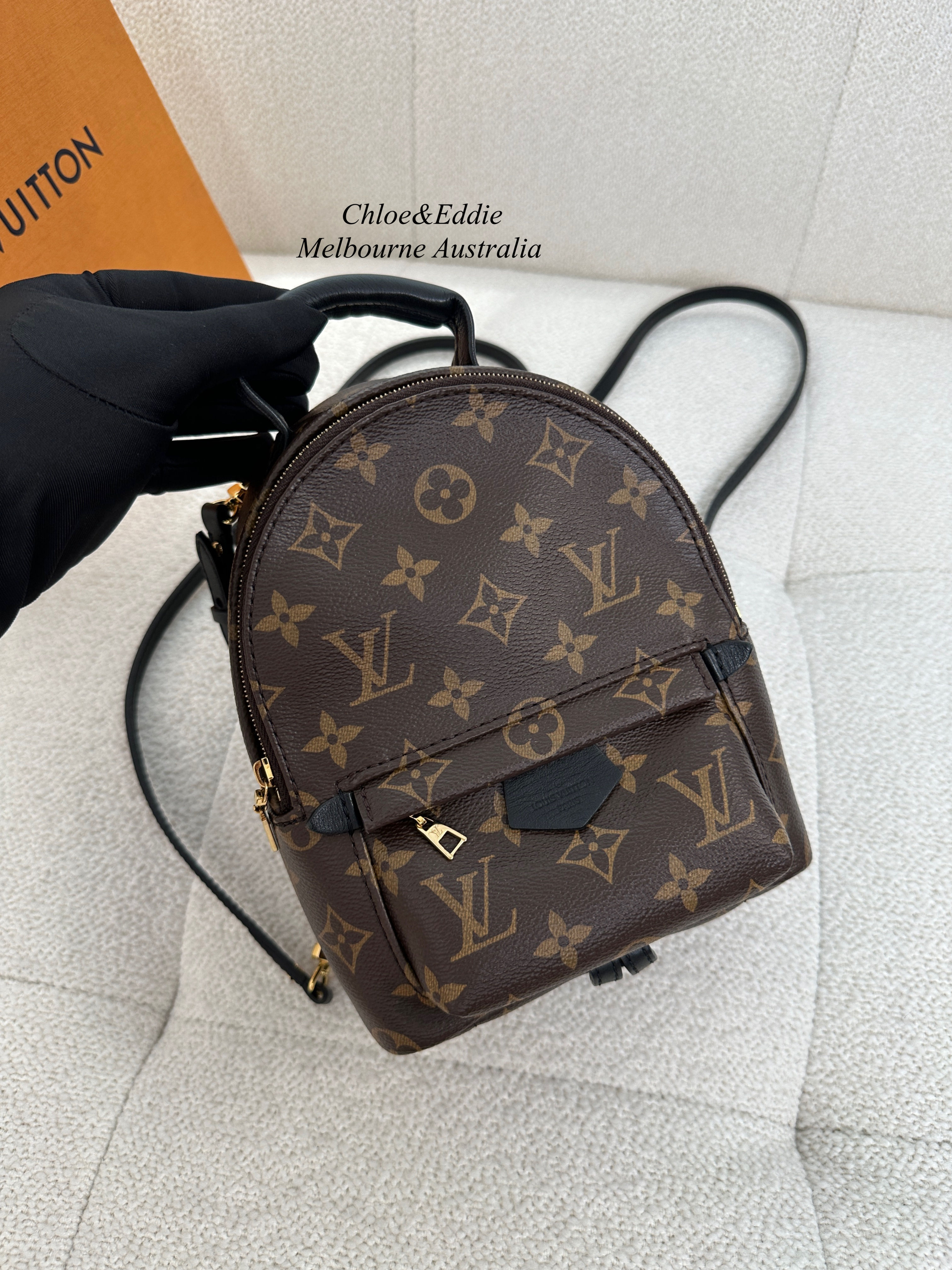 Louis Vuitton Full Set Palm Springs Mini (2022)