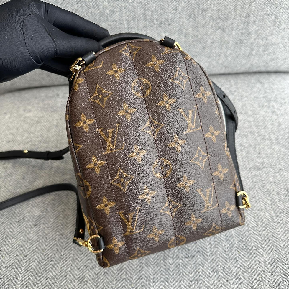 Thumbnail: Louis Vuitton Monogram Palm Springs Mini Limited Edition (2019)
