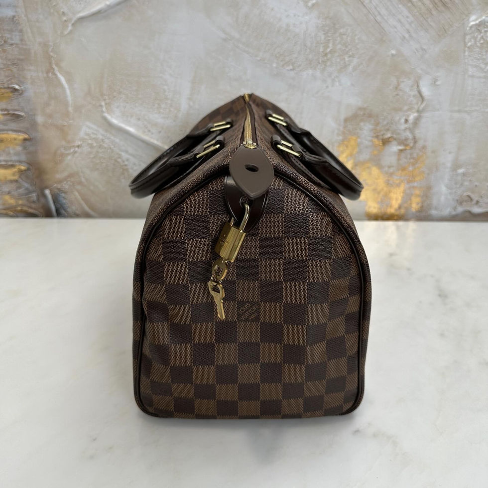 Thumbnail: Louis Vuitton Damier Ebene Speedy 30 (2010)