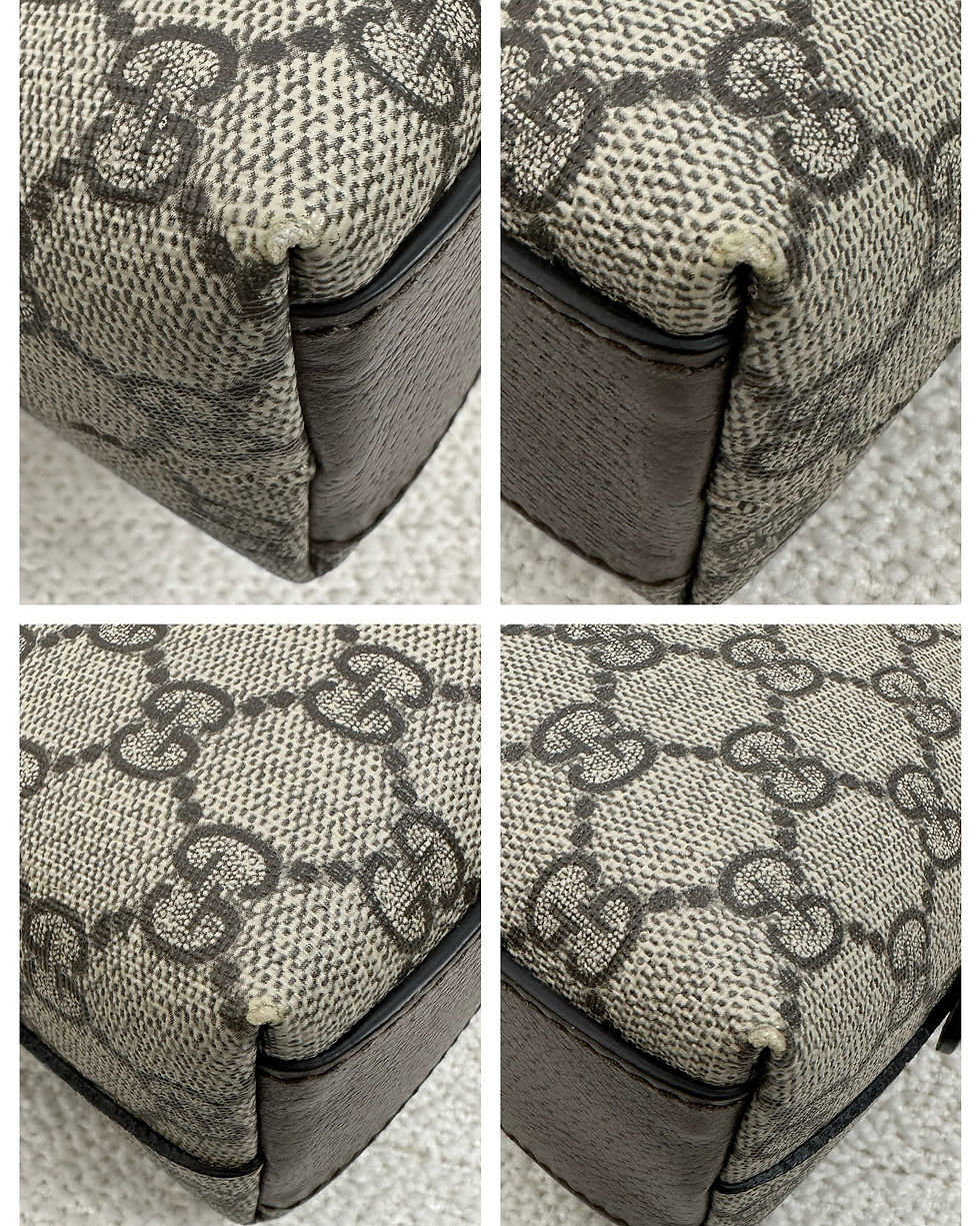 Thumbnail: Guccci Ophidia GG Bag