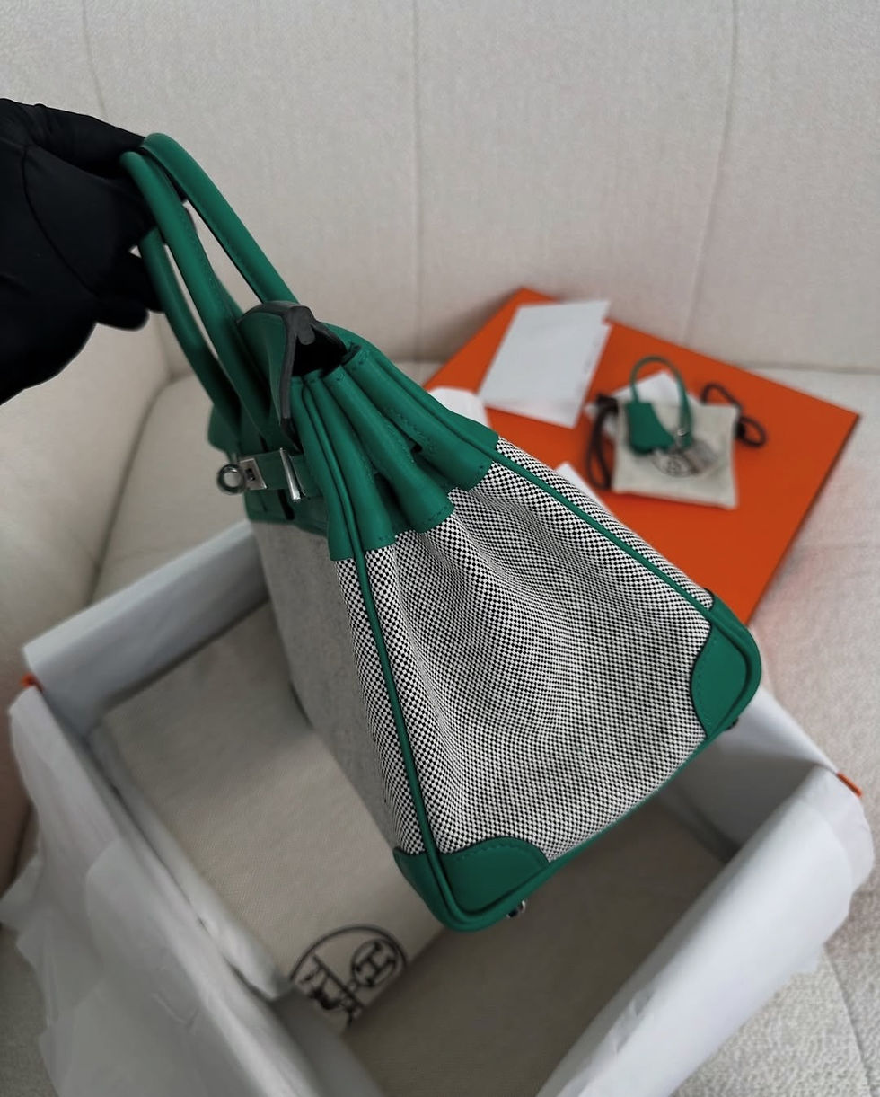 Thumbnail: Hermes Full Set Birkin 25 Toile H Canvas (2025)