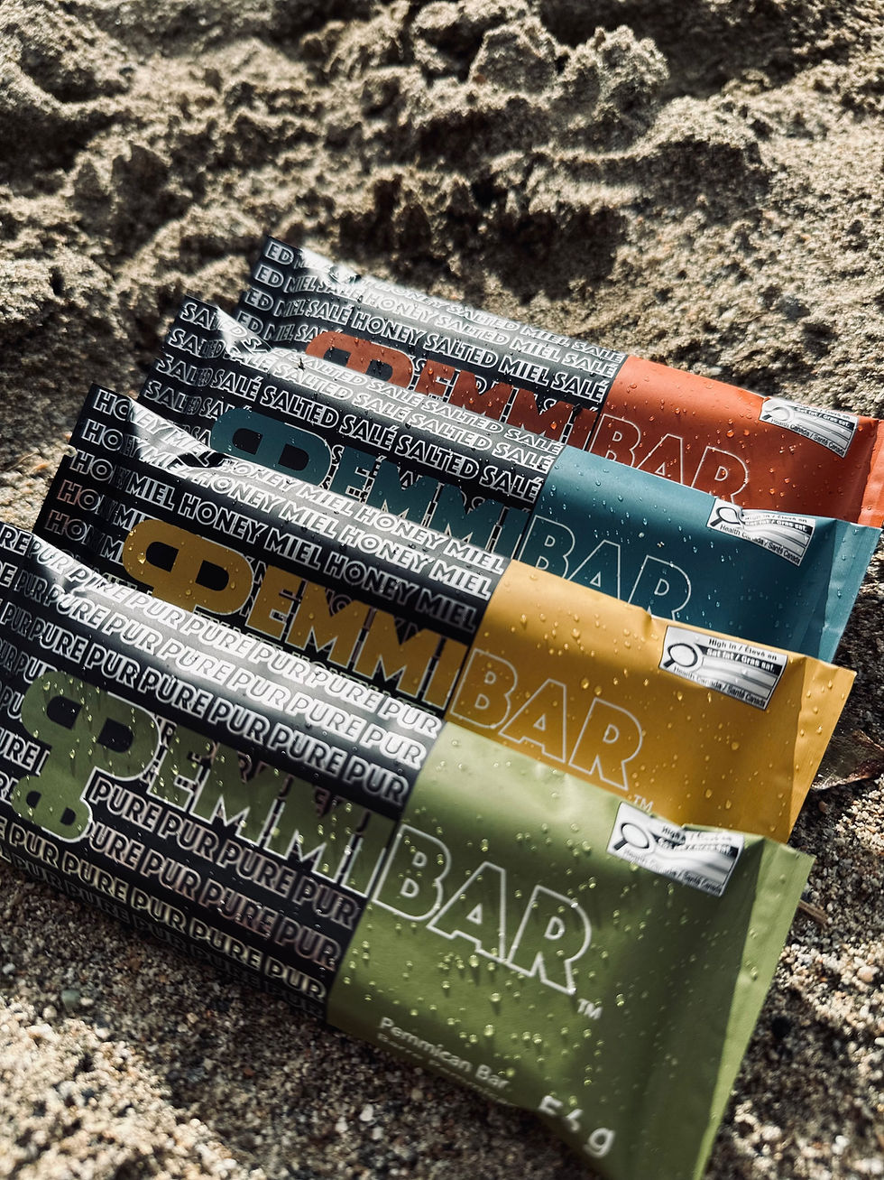 Assorted Pemmibar flavors arranged together outdoors on a rocky surface.