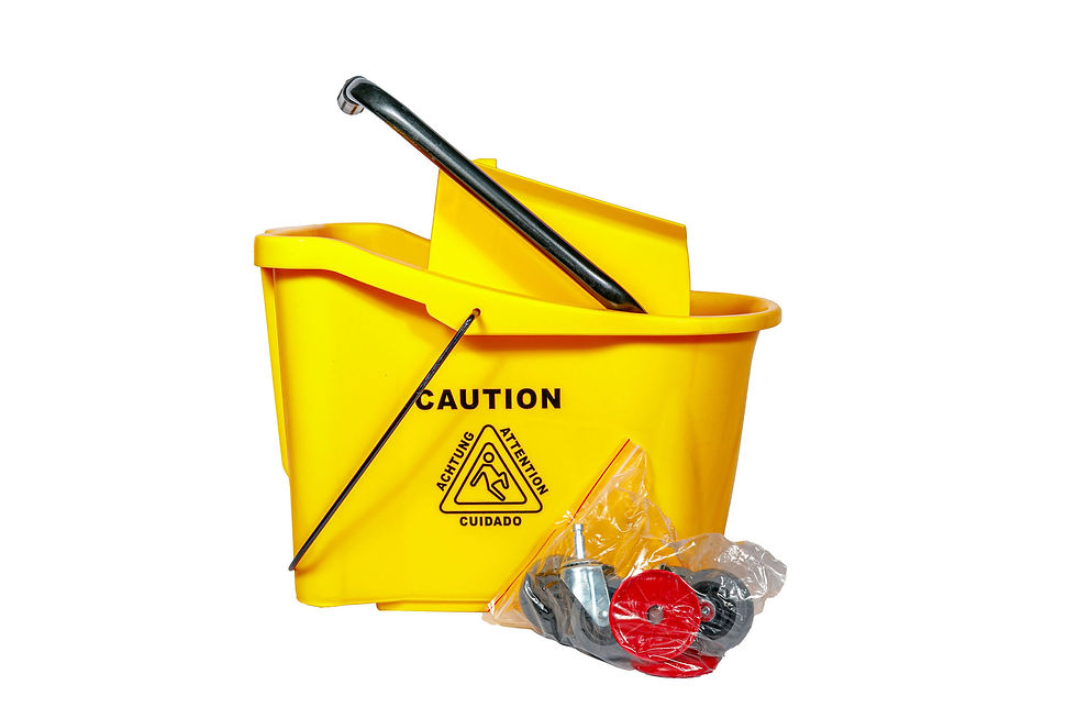 Bucket & Wringer On Castors