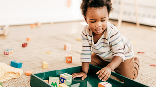 Toy Rotation: Maximizing Play and Minimizing Clutter