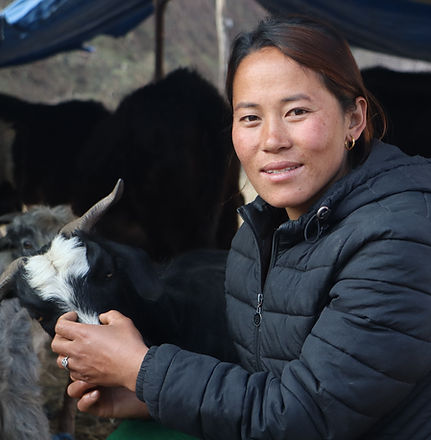 IMG_0765 (1)_edited.jpg