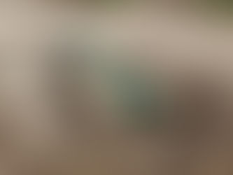 Erosion on Septic System