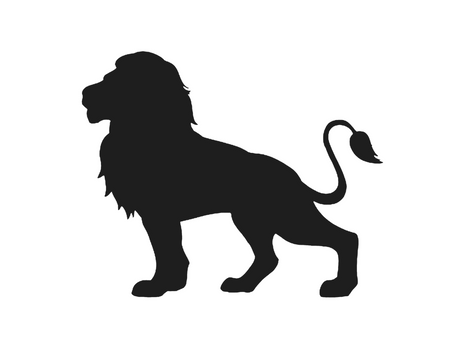 Criadores de Selva