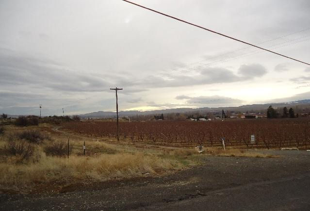 2008: Property pre-cherry trees