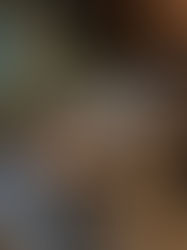 モーツァルト・オペラ in フロリダ【マンスリー・ニュースレター Vol.146】