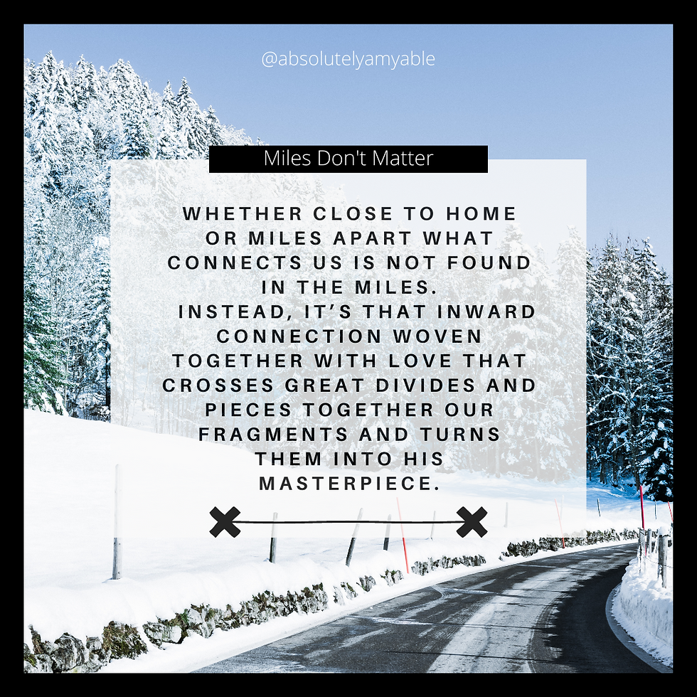 Snow Trees Road Quote Absolutely Amyable