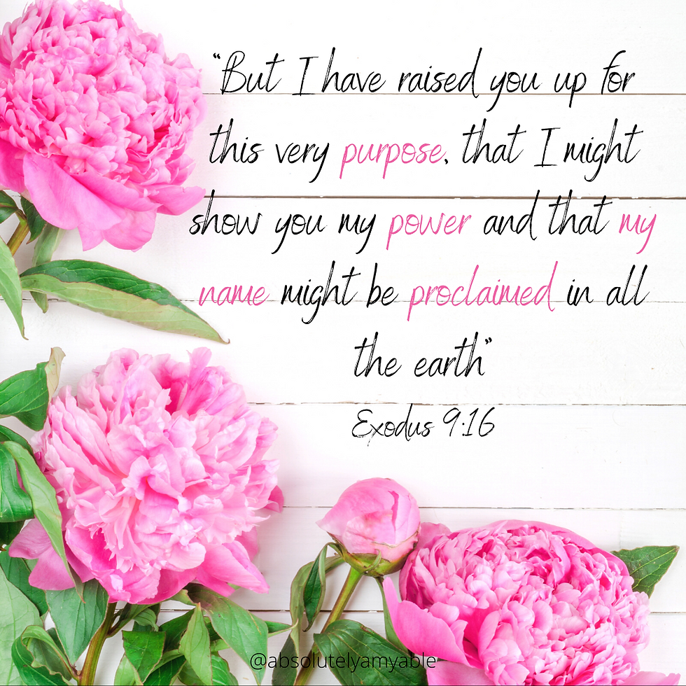 Peony Bible Verse Absolutely Amyable