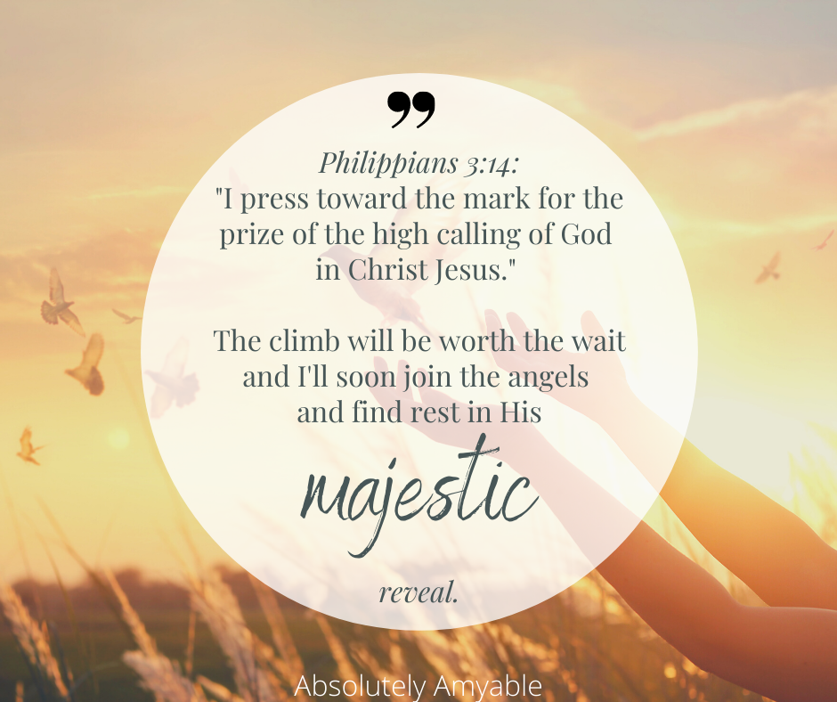 Philippians 3:14 Dove Hands to Heaven
