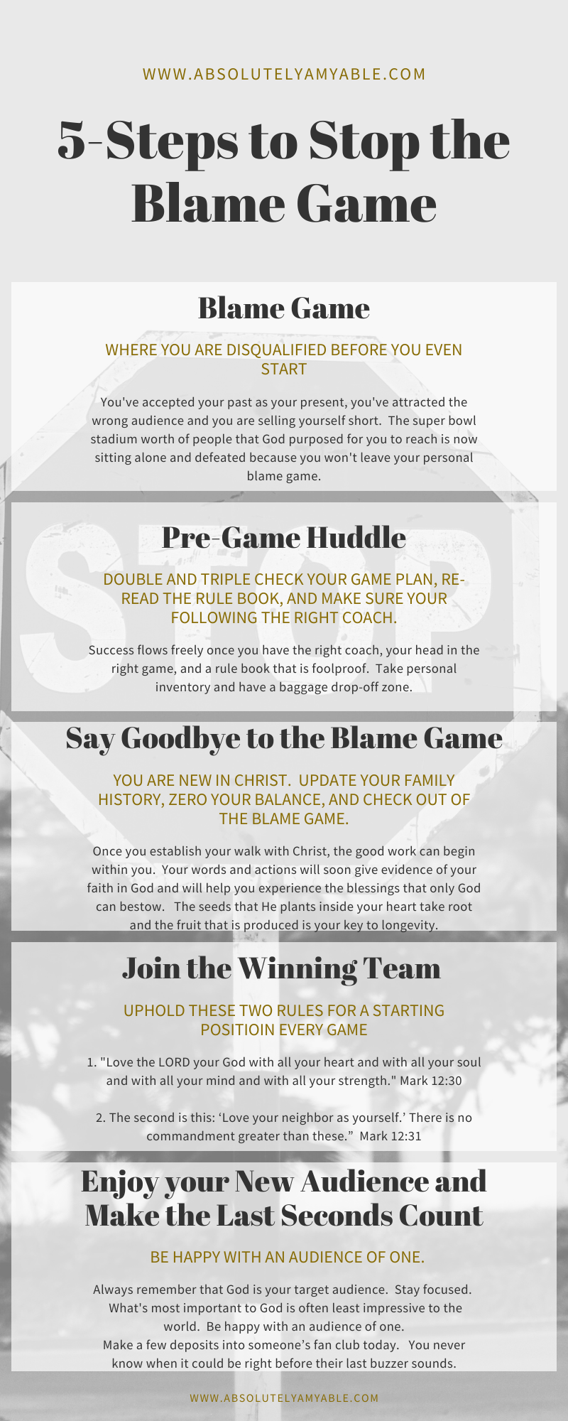 Absolutely Amyable 5 Steps to Stop the Blame Game