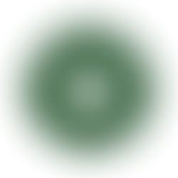 Immigration Consultant at Maple Leaf Vietnam