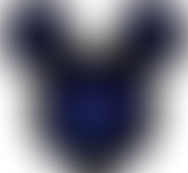 New Website Launched