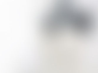 Que représente la robe de mariée dans les livres ?