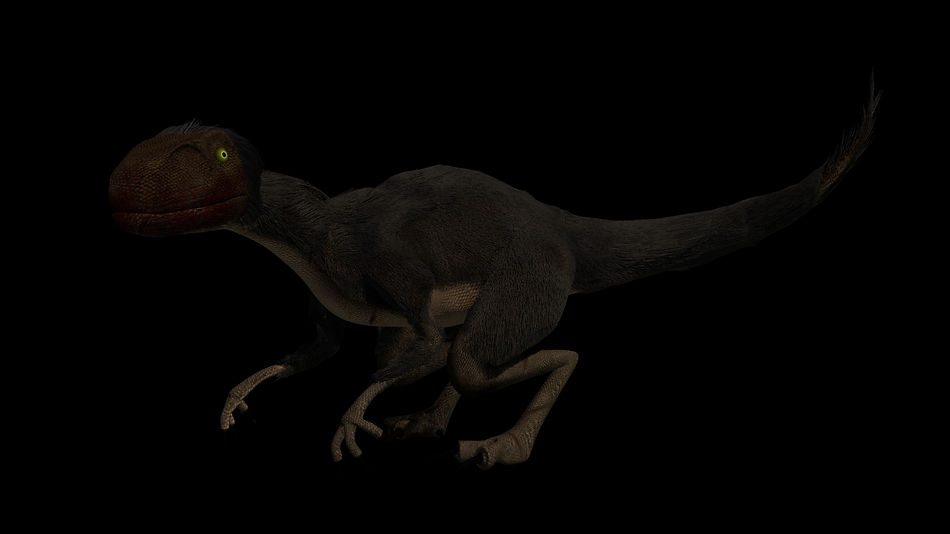 final render.jpg
