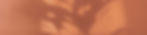 Orange Shadow_edited.jpg