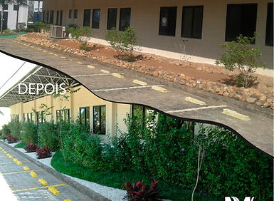 Antes e Depois_Montes Verdes-04.jpg