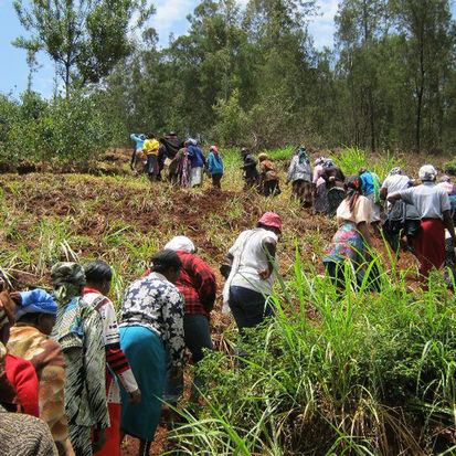 Impact of Forest Conservation on Rural Development in Kenya