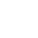 Prancheta 10_icones DrThales.png