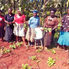 A growing solution for rural Kenya