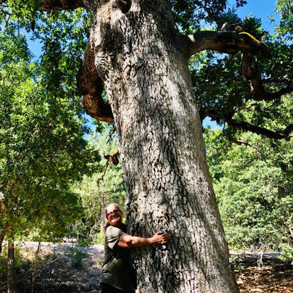 This Tree Deserved a Hug