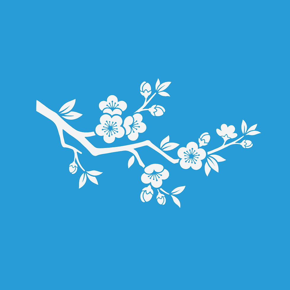 Asian American and Pacific Islander Celebration (AAPI)