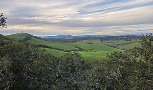 San Antonio Ranch 260227 (13).jpg