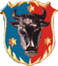 muzeul bucovinei logo.png