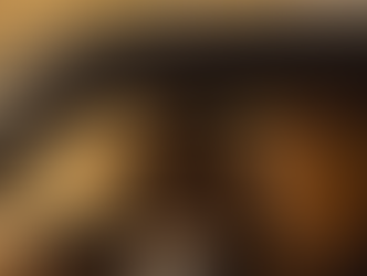 Furiosos 7 pode chegar a arrecadar US$ 150 Milhões no seu Fim De Semana de estreia