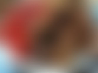 Hotdog and Meatballs