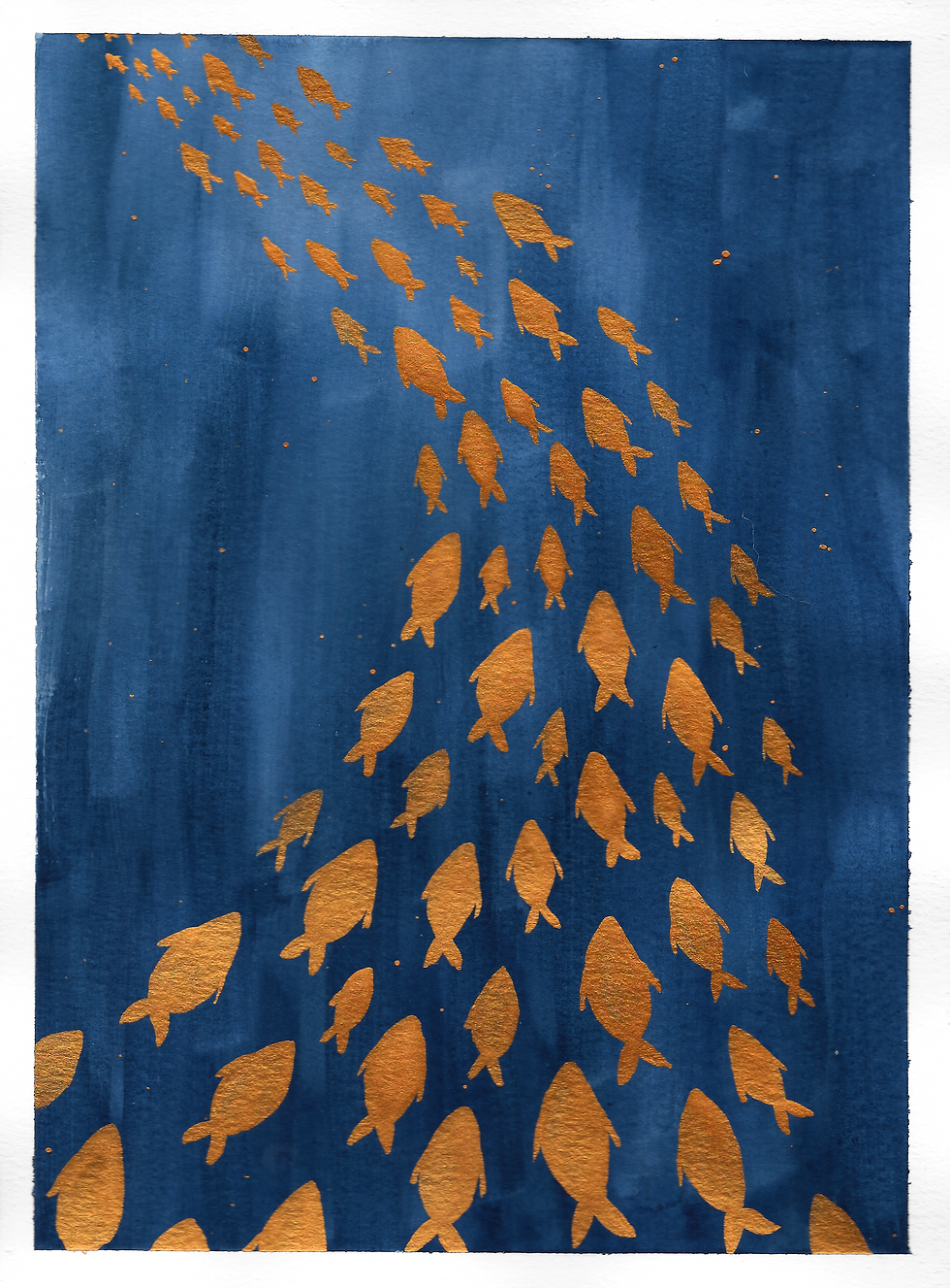 gold fish