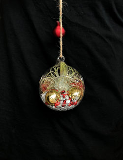 boule de noel team building