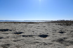 Naturstrand