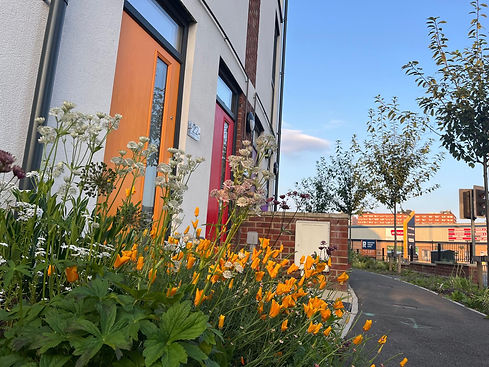 WhatsApp Image 2024-06-26 at 10.59.18 (3).jpeg