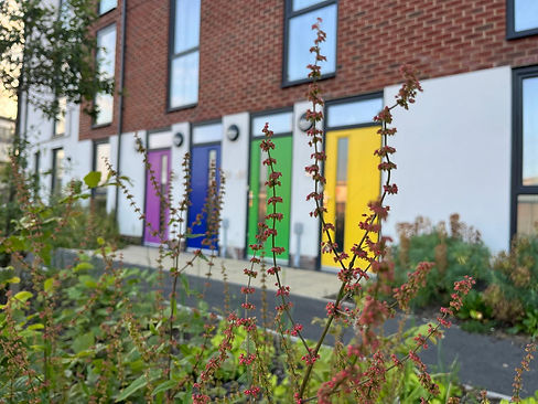 WhatsApp Image 2024-06-26 at 10.59.18 (2).jpeg