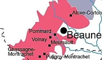 Regio Beaune_edited.jpg