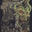 Writer: The Thrashing Machine
