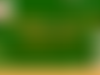 SDGs市民カレッジ2023開講　People in poverty ～貧困・格差のない世界へ～