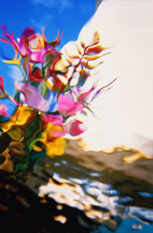 Flowers Descending