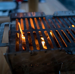 Ficodindia Lido Brace