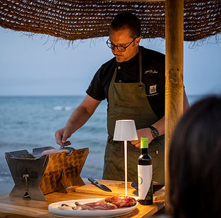 Ficodindia Lido Brace