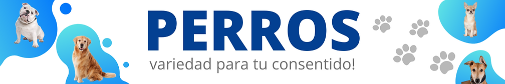 Sin título (20 × 5 cm) (60 × 5 cm) (60 × 20 cm) (100 × 20 cm) (1800 × 300 px).png
