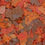 Miniatura: OCEAN NUTRITION, ALIMENTO BRINE SHRIMP PLUS FLAKE, 34 Gramos
