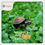 Miniatura: SUNNY, ALIMENTO TORTUGA BABY STICK PREMIUM, 70 gramos