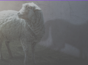 Cuidado com o mercenário!